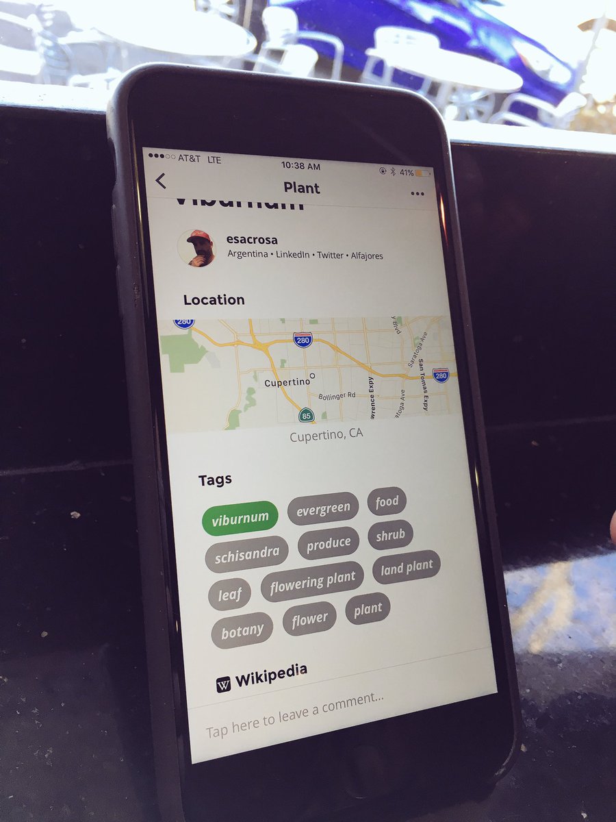 thebotanicapp's tweet photo. The app is close to be feature complete for 1.0-alpha release. https://t.co/IgbELnTYVK
