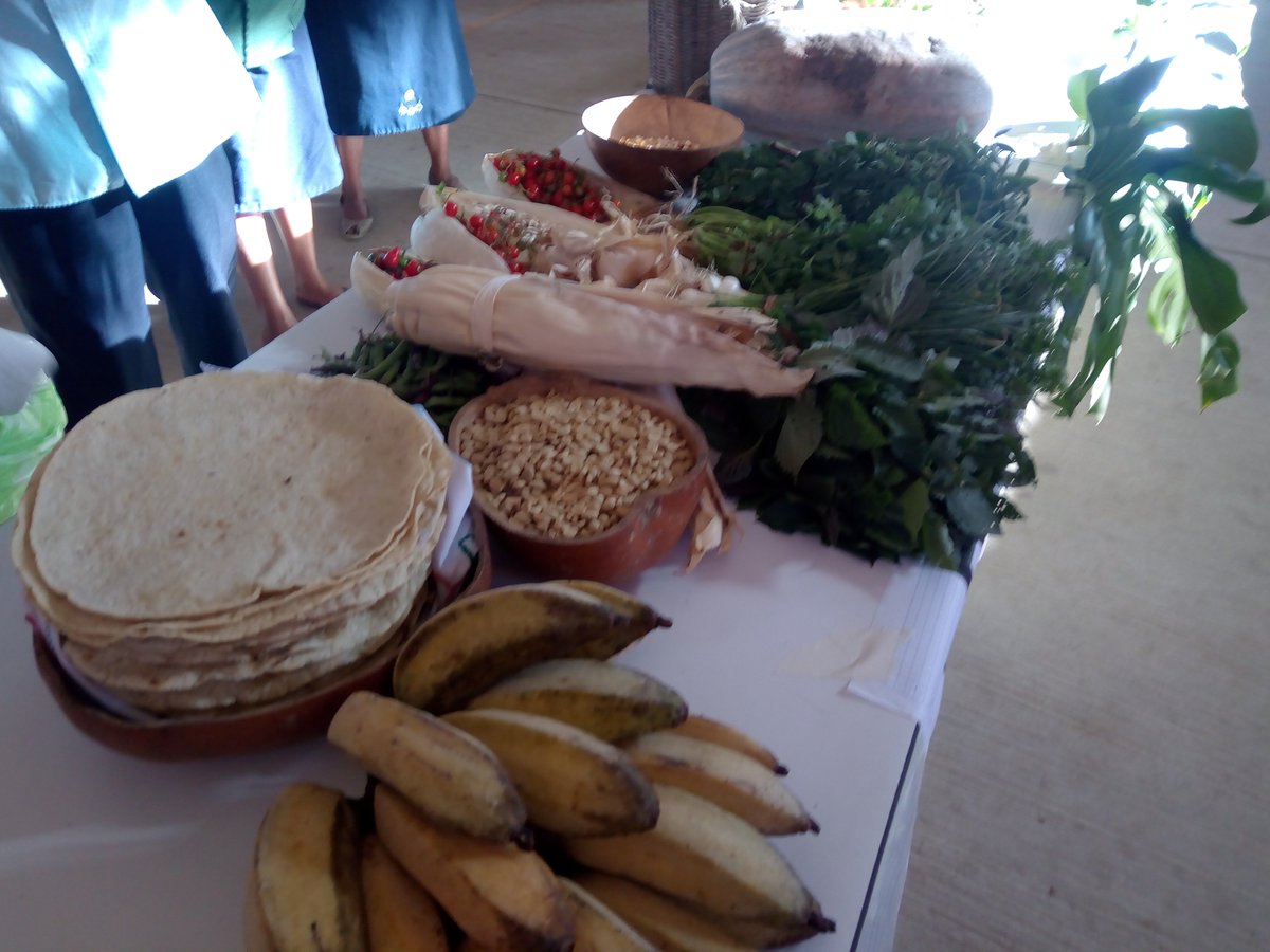 IcafseS's tweet photo. FERIA SAN EN SAN AGUSTÍN @adrsregionloxic https://t.co/C5IzeCgliX