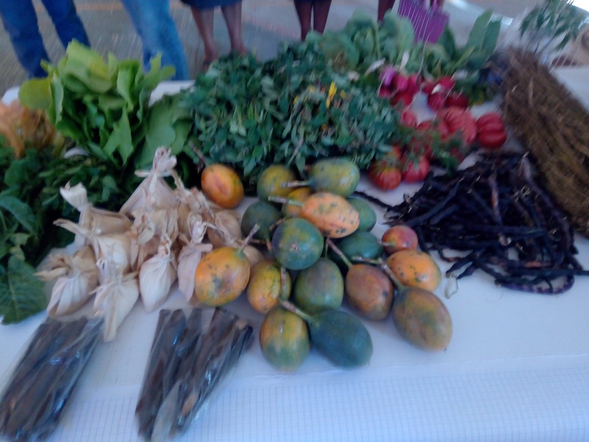 IcafseS's tweet photo. FERIA SAN EN SAN AGUSTÍN @adrsregionloxic https://t.co/C5IzeCgliX