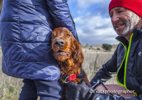 #Canicross #CampeonatoMadrileñoMushing <a href="/canicross_3c/">Tricantino Canicross</a>  2/2 galerias <a href="/jcdfotograf/">JCDfotografia</a>  y !!una tercera galería sorpresa!! wp.me/p7kIjn-1Tr