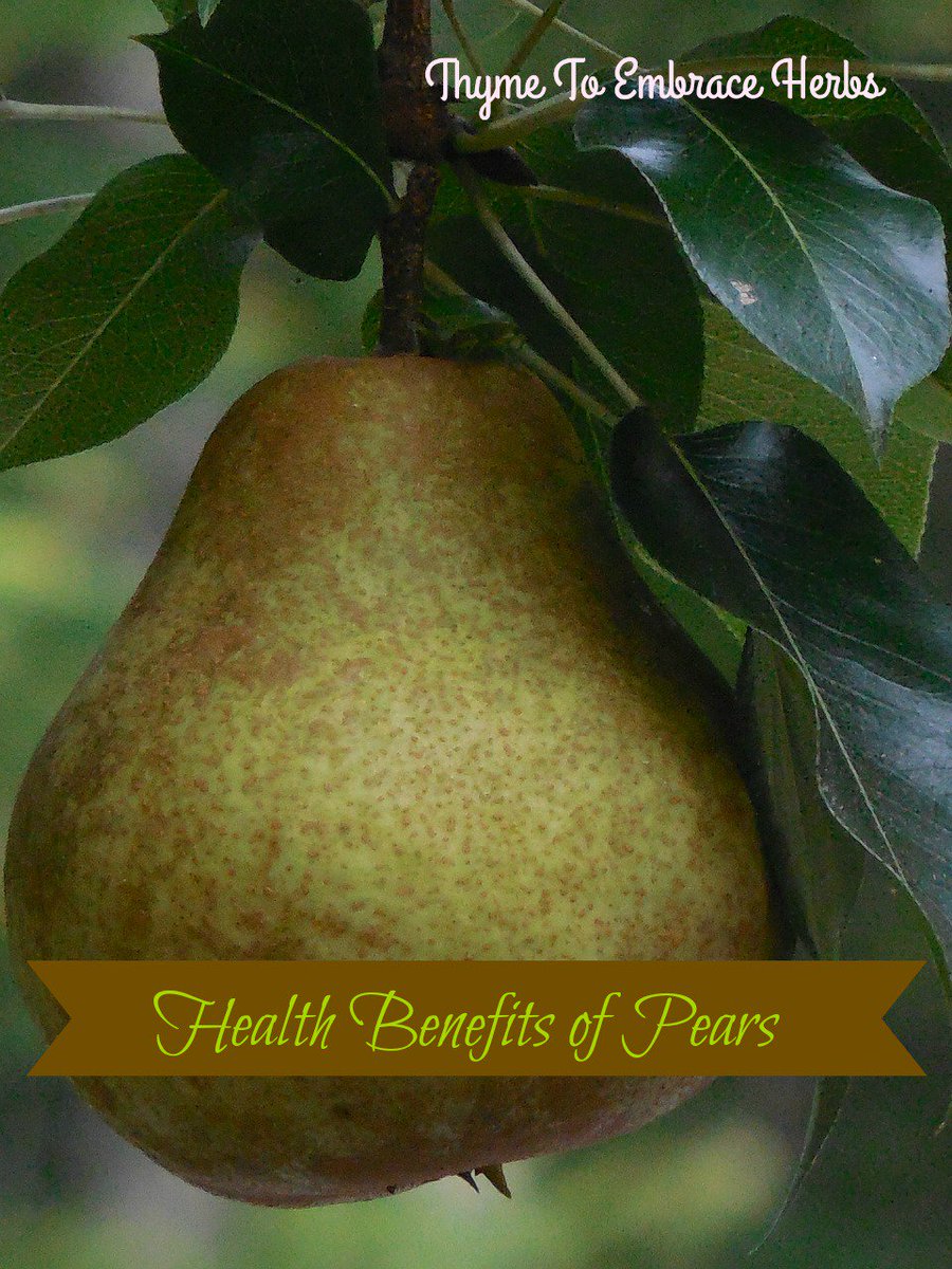 thymeto's tweet photo. Health Benefits of Pears https://t.co/rXHttdx10Q #pears https://t.co/82yhrOkanT