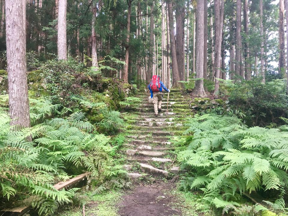 ForbesLife tweet media