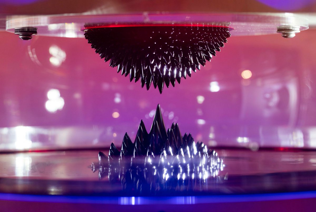 Synaptic Stimuli tweet media