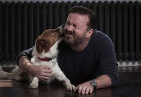 .<a href="/rickygervais/">Ricky Gervais</a> has pledged the profits of his next gig to the #Devon dog rescue charity <a href="/Nowzad/">NOWZAD</a> itv.com/news/westcount…