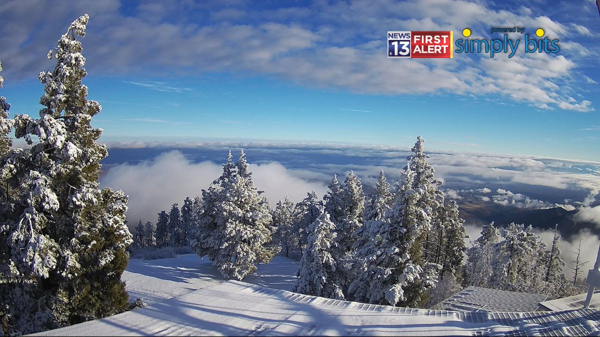 Angelica Carrillo (acarrillonews) Twitter