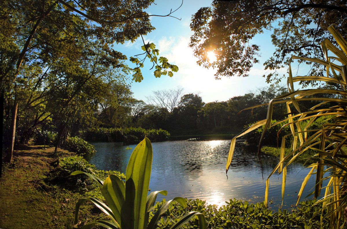 Start your week with the right foot in the right spot! Only in #Honduras #SantaBarbara #VisitHonduras
