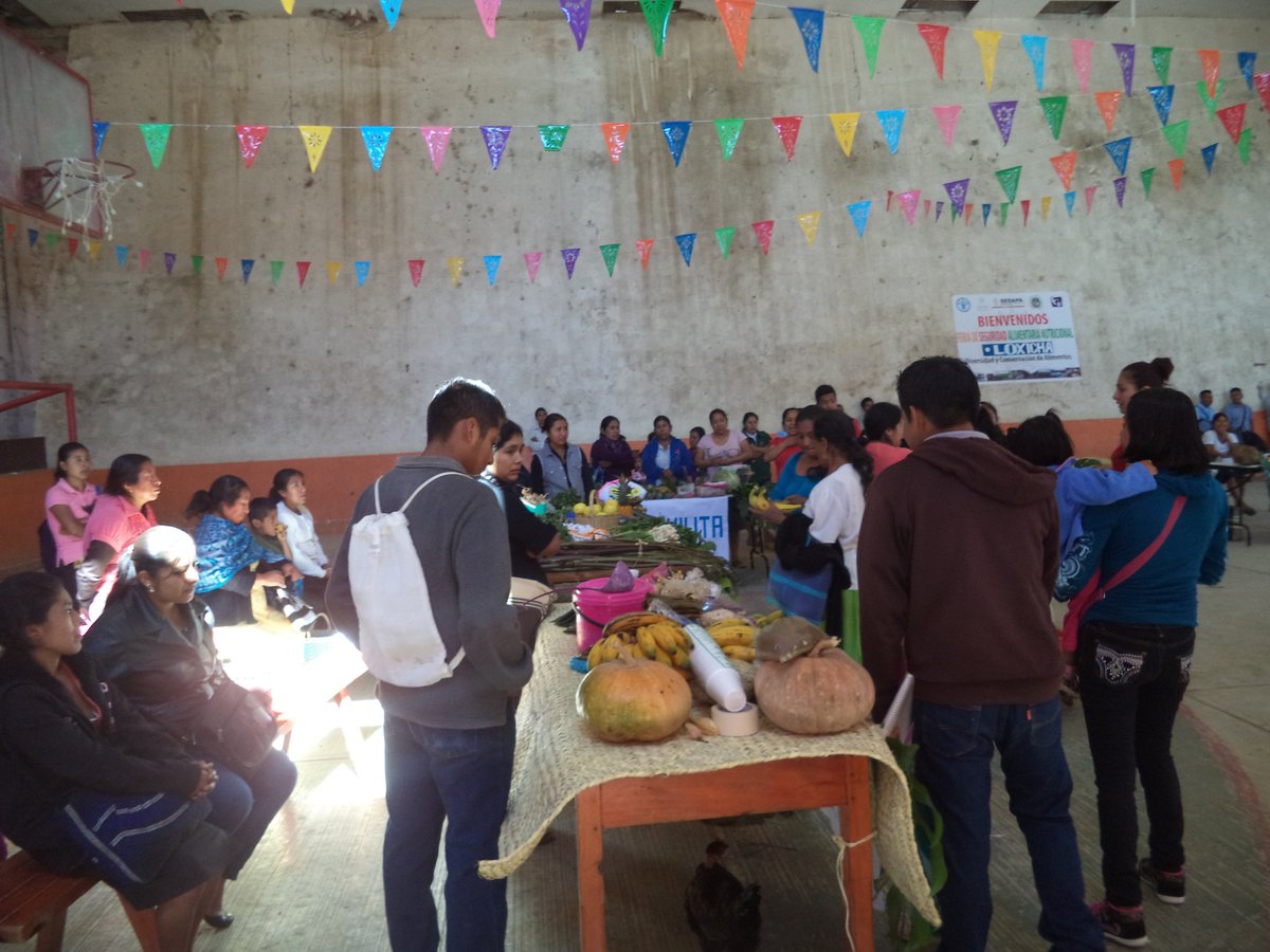 IcafseS's tweet photo. FERIA SAN EN SAN AGUSTÍN LOXICHA https://t.co/TqvOjRiiCw