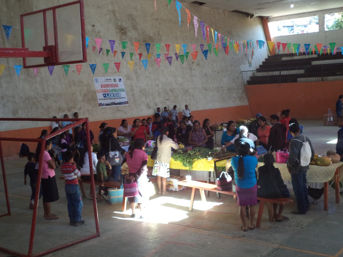 IcafseS's tweet photo. FERIA SAN EN SAN AGUSTÍN LOXICHA https://t.co/TqvOjRiiCw