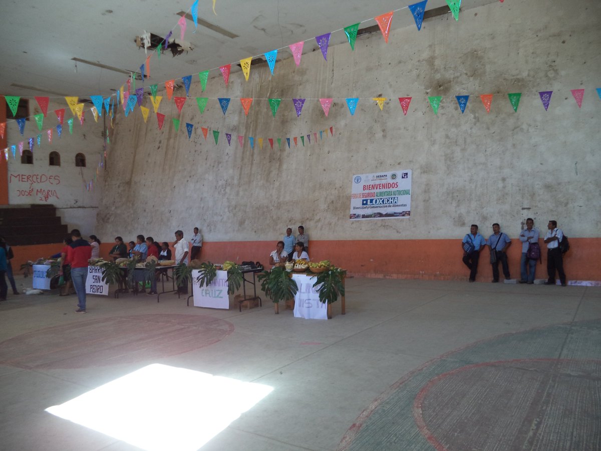 IcafseS's tweet photo. FERIA SAN EN SAN AGUSTÍN LOXICHA https://t.co/Savwg7rDjt