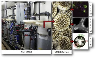 uOttawaBMI's tweet photo. Congrats Stintzi group #uOttawaBMIpub Bioinformatic and high-end sequencing to study biofilm in wastewater treatment https://t.co/j9cl8FTsOB https://t.co/0zZGfrQpKd