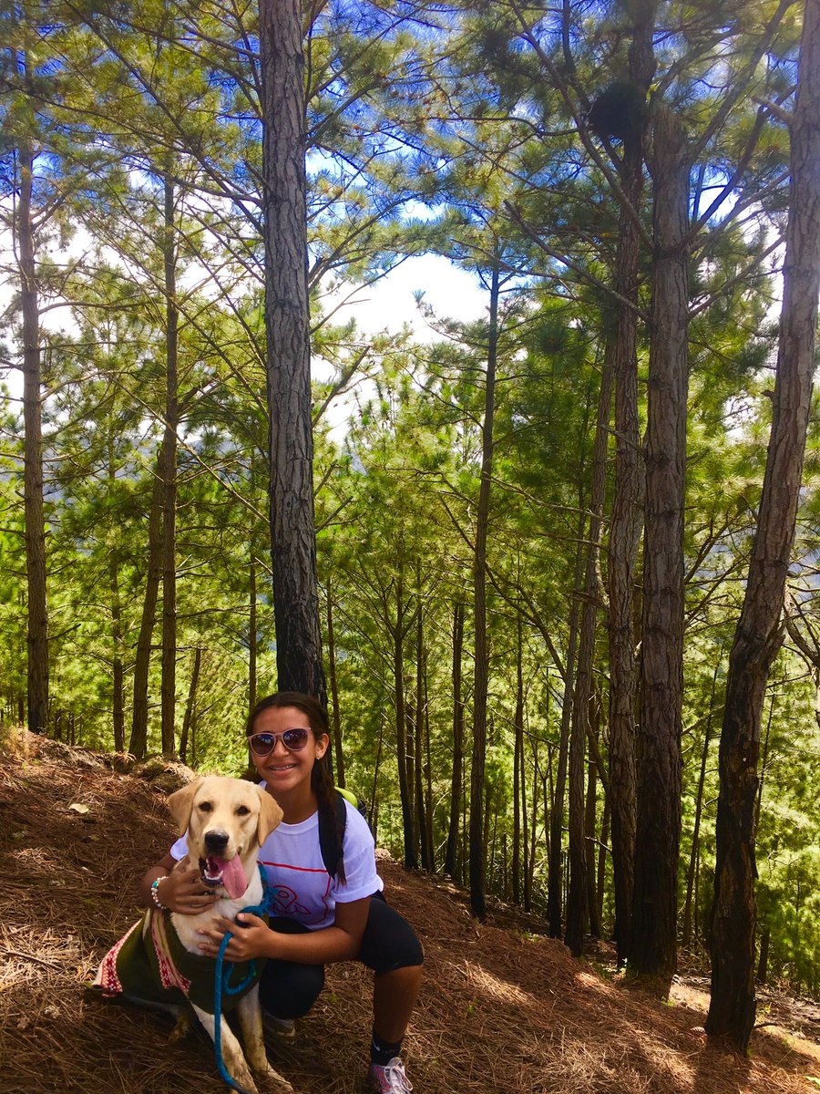lyned099's tweet photo. Bosque de los Pinos 📍🍃#SpotsPR https://t.co/UIce6vO1rP