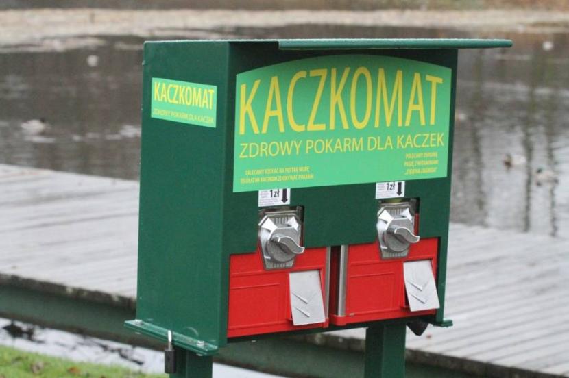strefaagro.gloswielkopolski.pl/galeria/pierws…