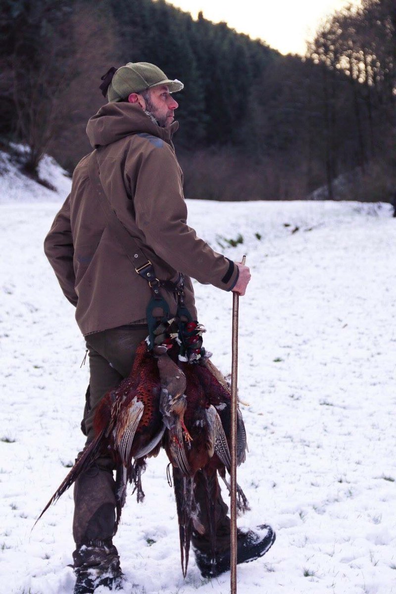 FSPFieldSports tweet picture