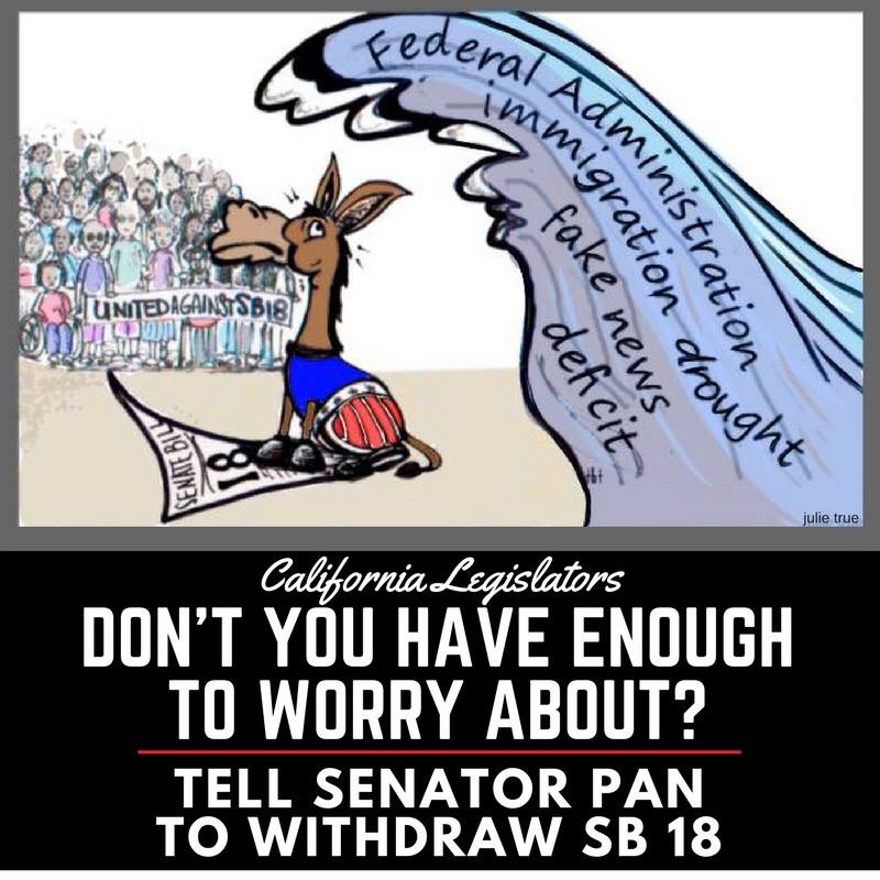 CommonSenseAdvo's tweet photo. .@Skinner4Senate parents love their children, there are laws already to protect kids.#withdrawSB18 Worry about real #CA problems.  #SB18 https://t.co/EnLF80Clkk