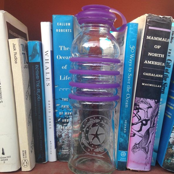 glassisback's tweet image. #BottlesUp is #healthy #art that is environmentally #conscious. We care about our #ocean #life and #NoPlastic 🌊
 #FoodGradeSilicone