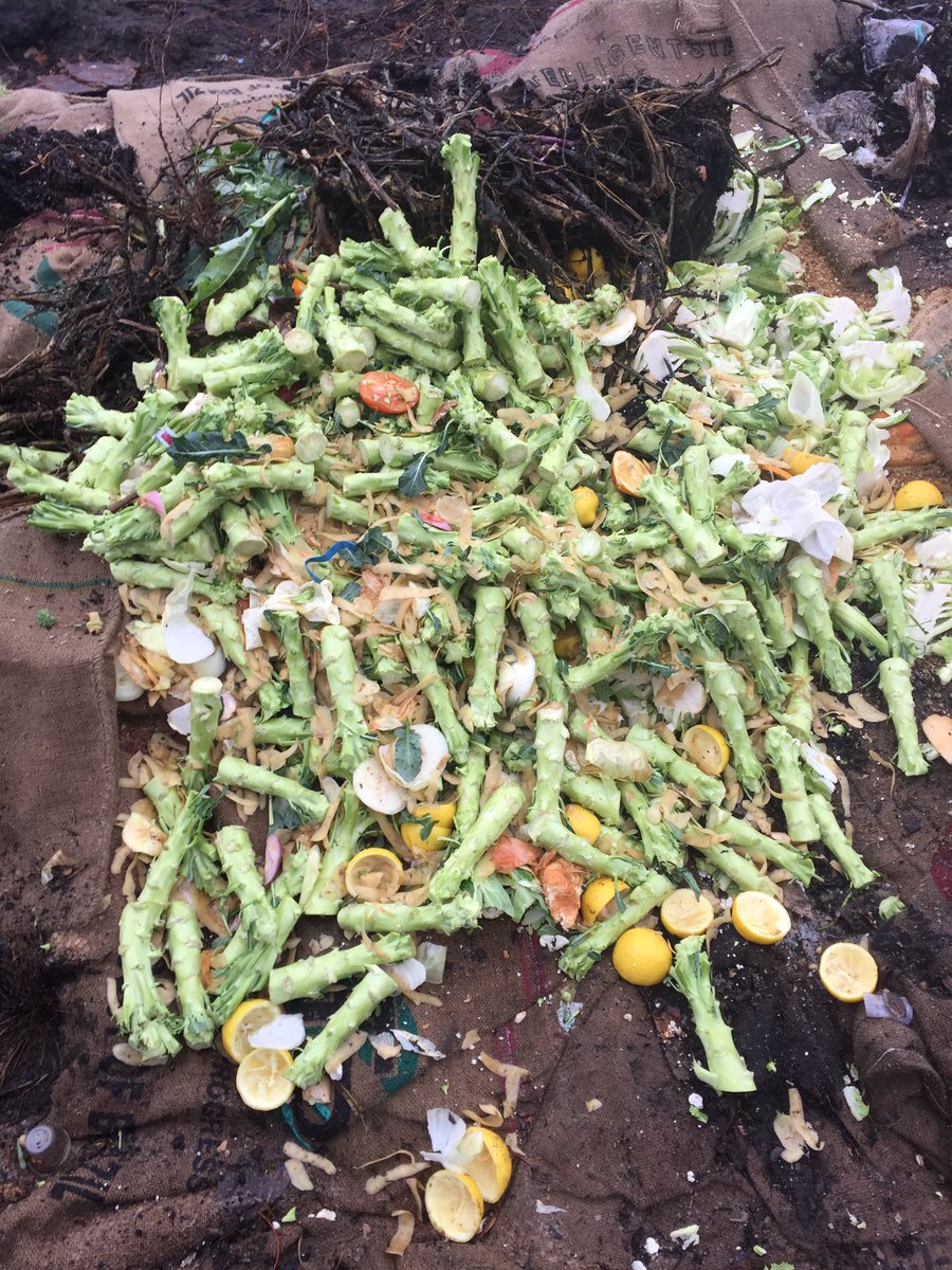 NLRWorms's tweet photo. We are feeding our #worms the very best #chicagocomposts https://t.co/4bgkU45QvQ