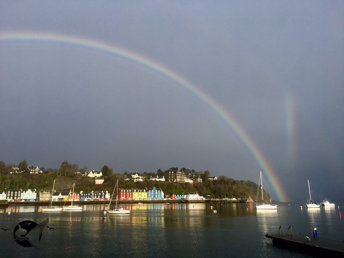 CONFIRMED Gold to be found in #Tobermory 😉 <a href="/PopzFairbs/">Popz Fairbairns</a> <a href="/Nature_Scotland/">Ewan Miles</a> <a href="/HolidayMullIona/">HolidayMullIona</a>