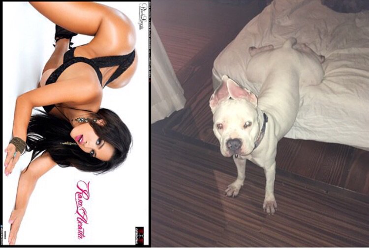 RosaAcosta's tweet photo. My dog wants to be me so bad 😂🙄🤔😫😍 https://t.co/rbqIXUzb47