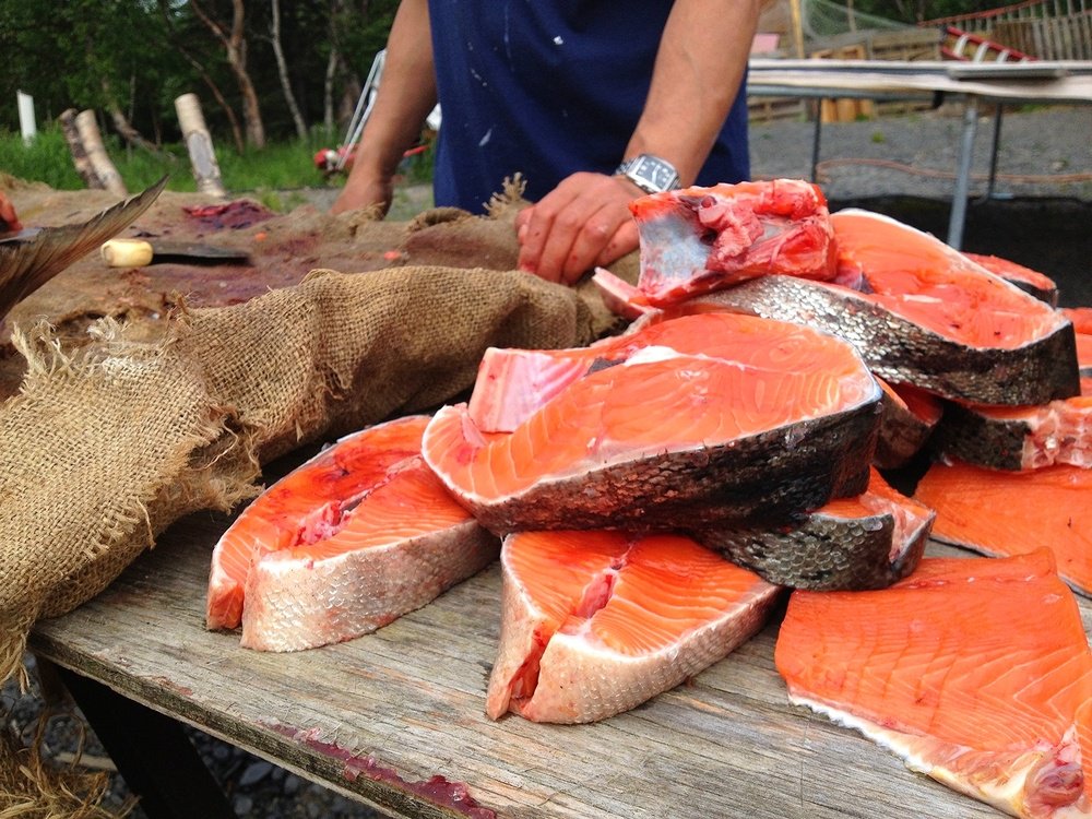 DearNorthAK's tweet photo. There's nothing like catching a king salmon and looking forward to that buttery, rich, BBQ'd taste: https://t.co/RhsqUrw8Ym @AKSalmonProject https://t.co/ah7Nf4YAv3