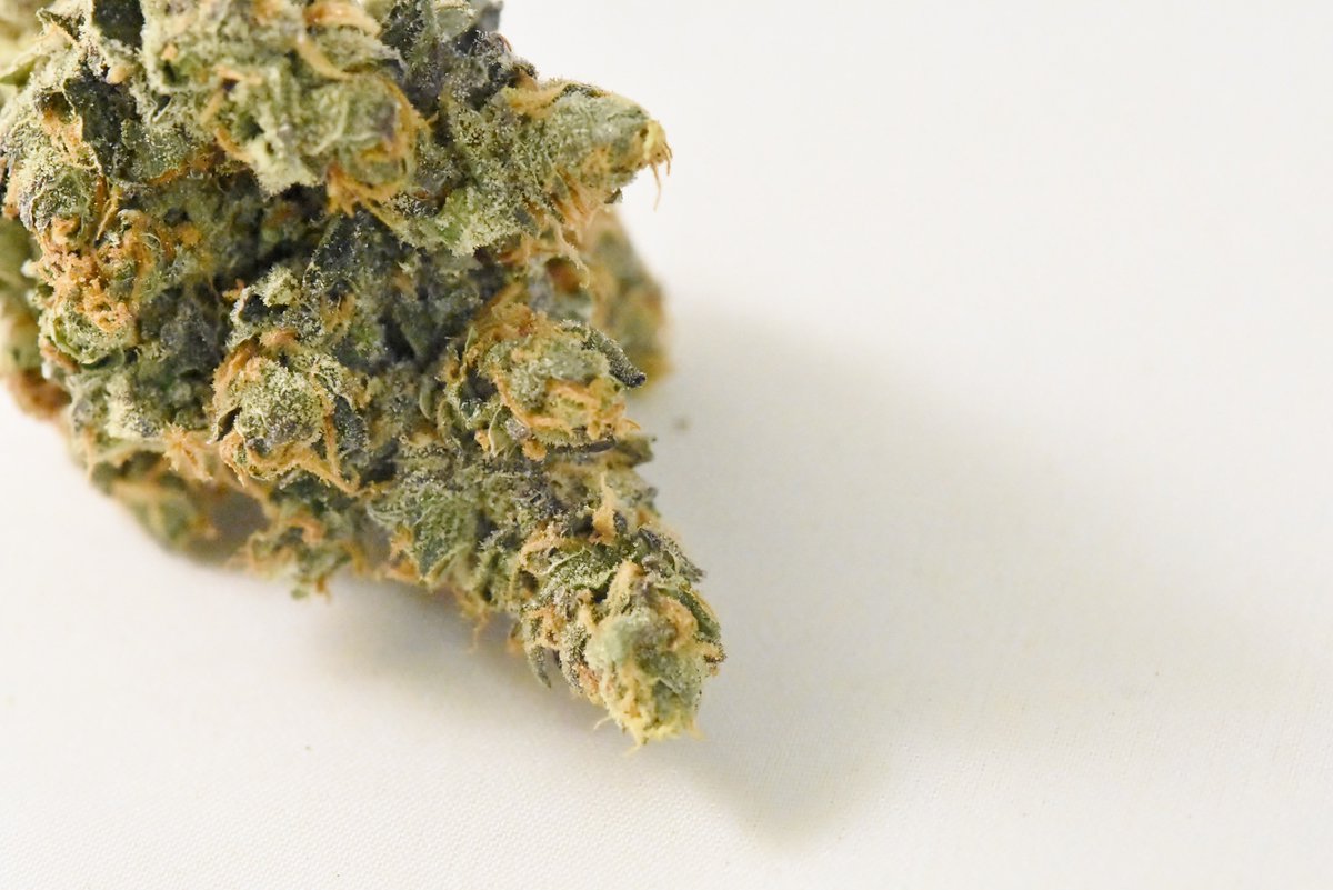 GoodMedsCO's tweet photo. Pre-packaged ounces of #ChunkD in stores for #MLKDAY only $99! Doesn't take #Sherlock to see what a great deal this is. #denverdispensary https://t.co/RLp3omAxPI
