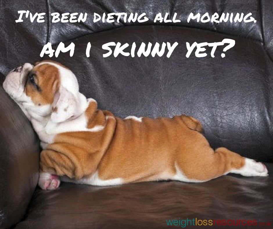 daljit_padda's tweet photo. #newyearnewdiet https://t.co/lUqyR6O81y