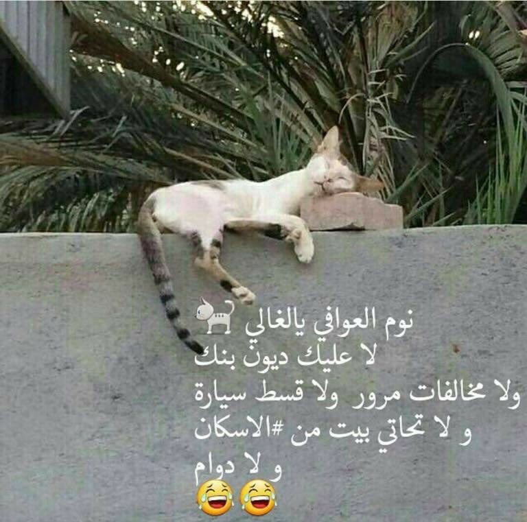 SAAD_lli tweet picture