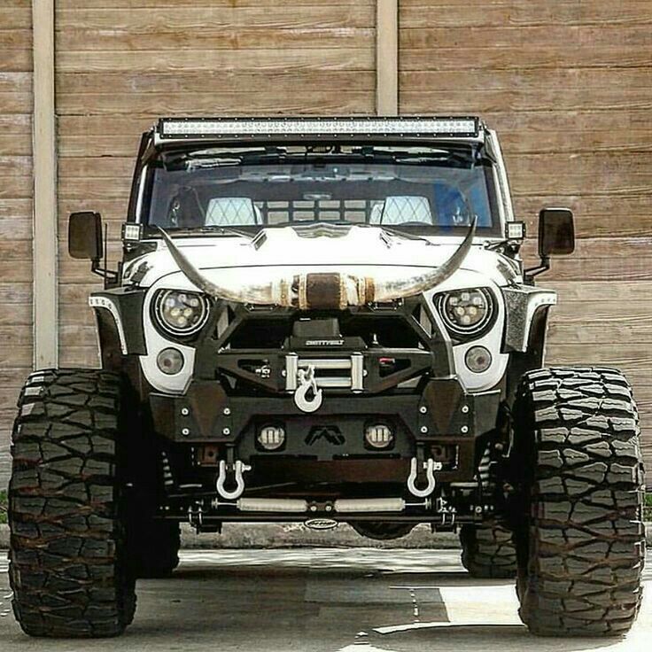 Myjeepporn's tweet photo. Mean muggin. 😎 👊 https://t.co/VkoahPirhz
