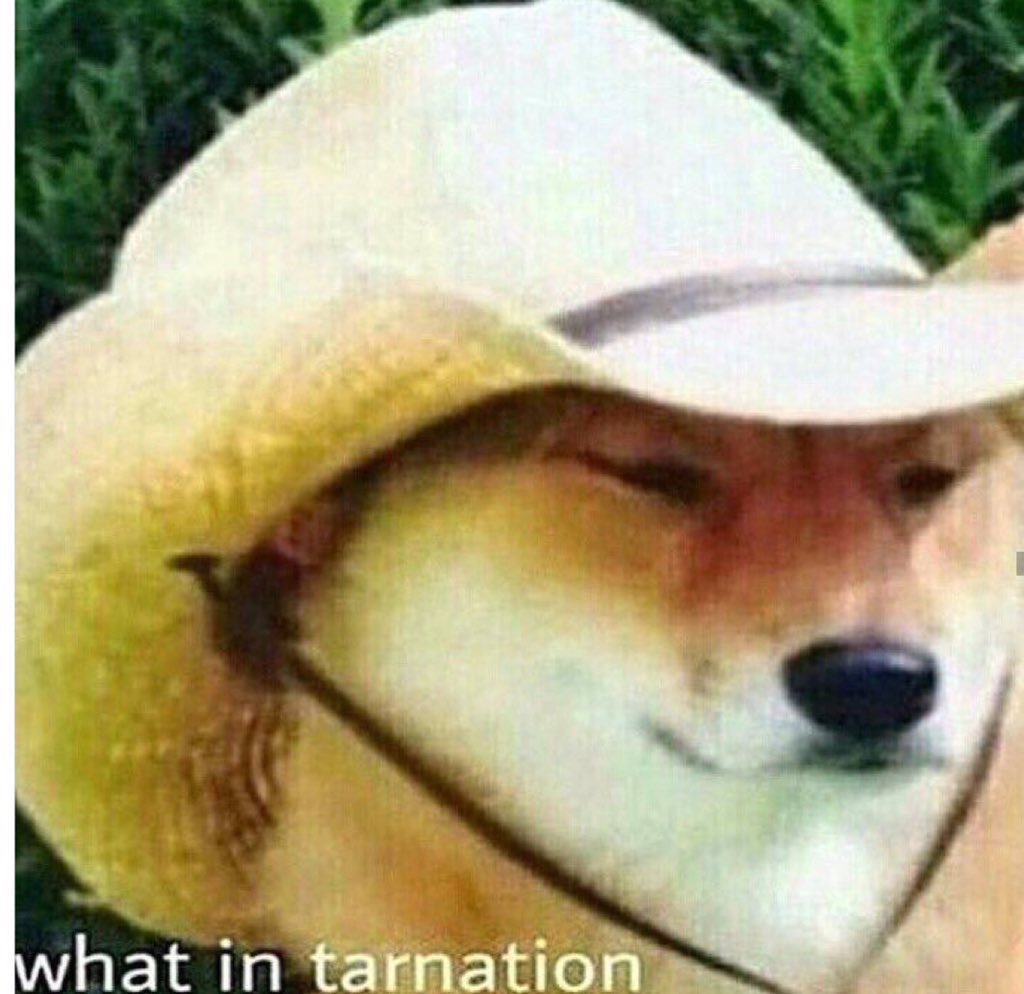 ASAPnicky's tweet photo. How people who don't go to WVU act when you scream "eat shit Pitt" during Sweet Caroline https://t.co/b5RP36D1vO