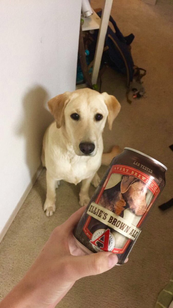 Elliezzzz's tweet photo. @AveryBrewingCo 
Lab tested and approved 🐶 https://t.co/7SRHJYxum8