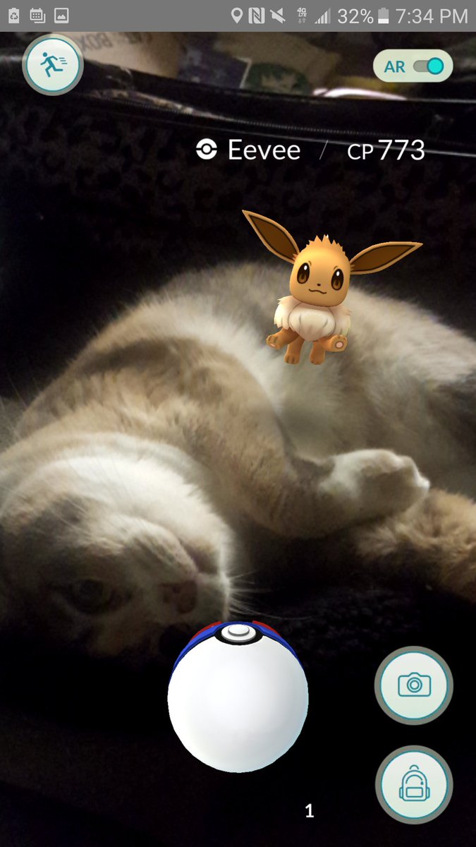 melloskitty's tweet photo. Eevee wants to play, but Honey NEVER does.😂 #eevee #pokemongo #workingfromhome #goodeevening https://t.co/ZJXhp2P1x0