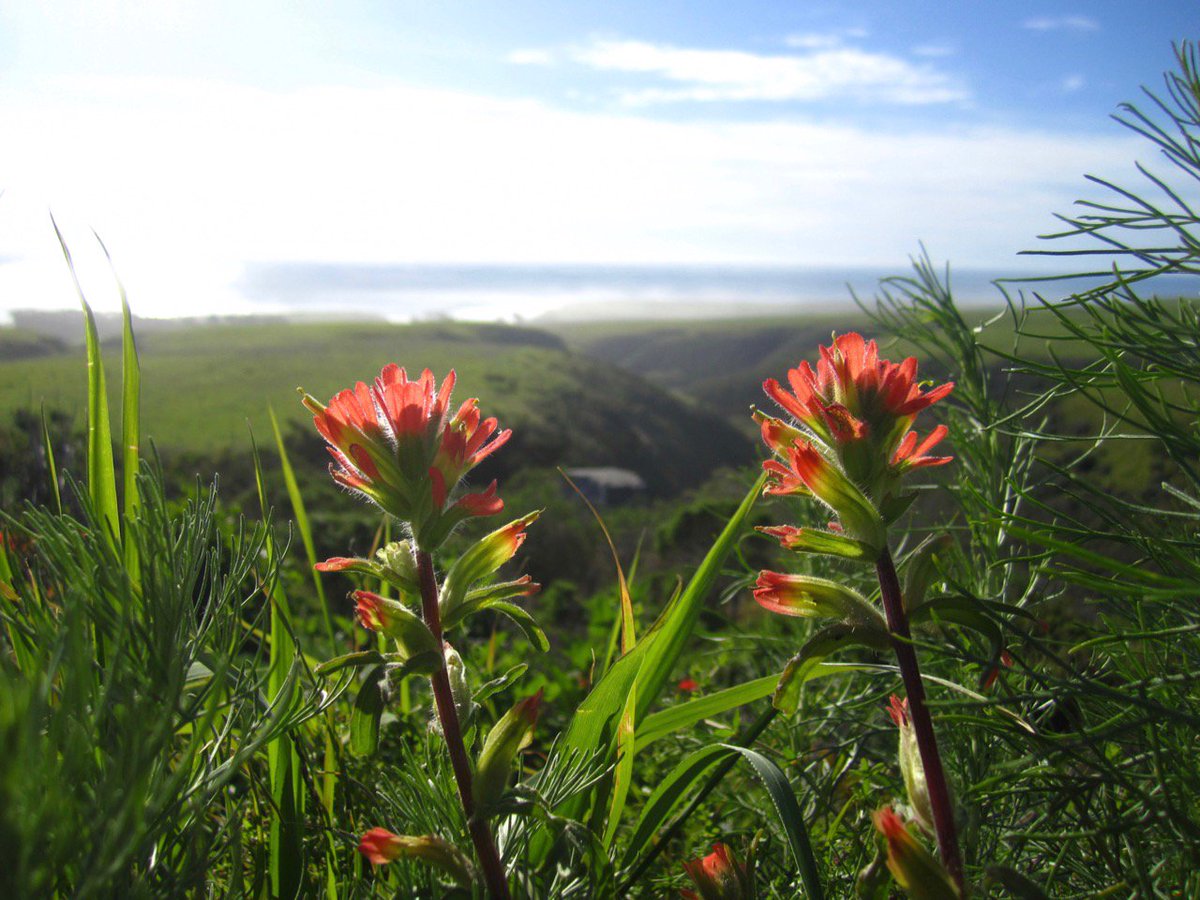 HilltromperSC's tweet photo. Why we're celebrating the new #Cotoni-Coast Dairies Natl Monument: https://t.co/B729ZbZbhv #MLKDAY #MonumentsForAll https://t.co/HgVldNdRZf