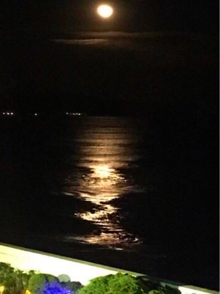 鴨川シーワールドホテル