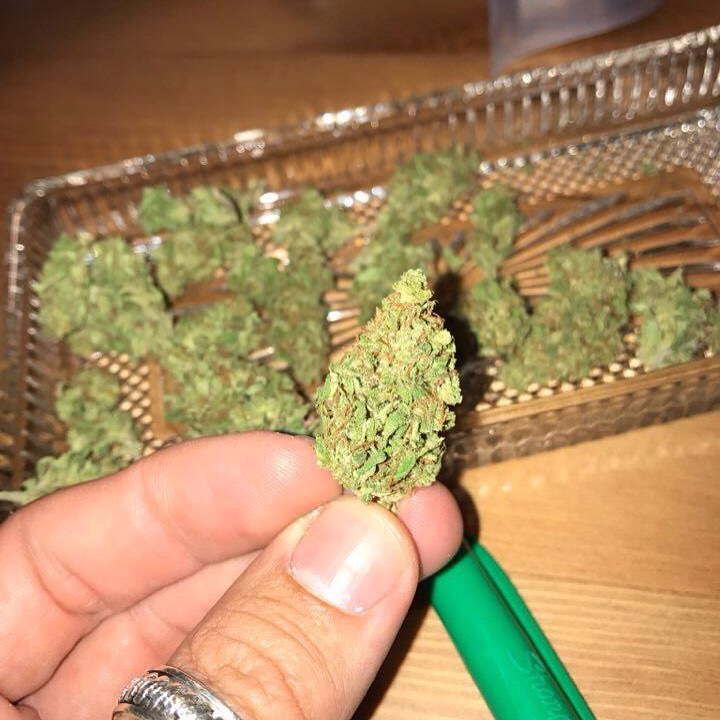 SmokeBuddies's tweet photo. É de uma natureza que o universo não explica
#smokebuddies #weedplease #ismokeweed #cannabis #weed #ganja #ganjah https://t.co/tFJXbYTJdL