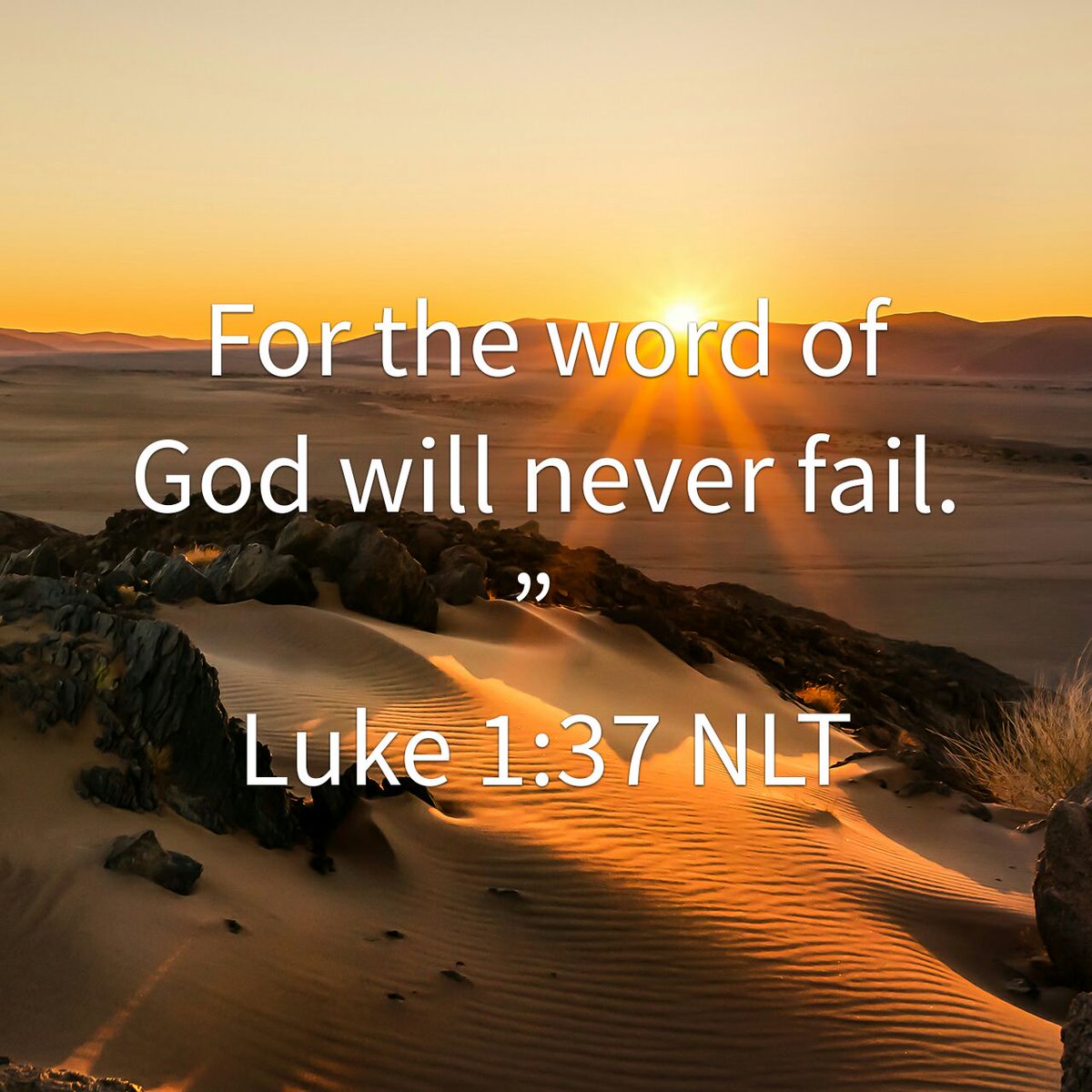 For the word of God will never fail. ”
Luke 1:37 NLT
bible.com/116/luk.1.37.N…