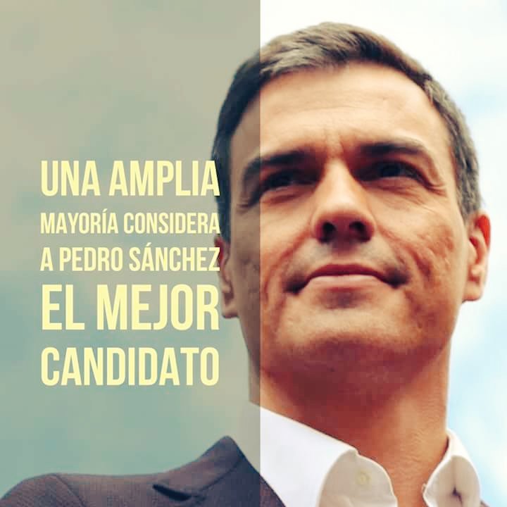 MyriamSempere's tweet photo. Eres NUESTRO candidato @sanchezcastejon! Cuentas con nuestro apoyo para que dirijas el PSOE hacia la recuperación! #TeEsperamosEnPrimarias https://t.co/PJ28T8KNEj