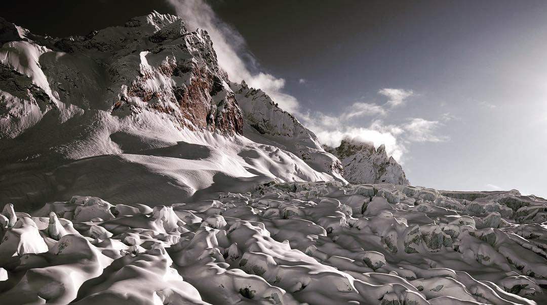 Brain Farm tweet media