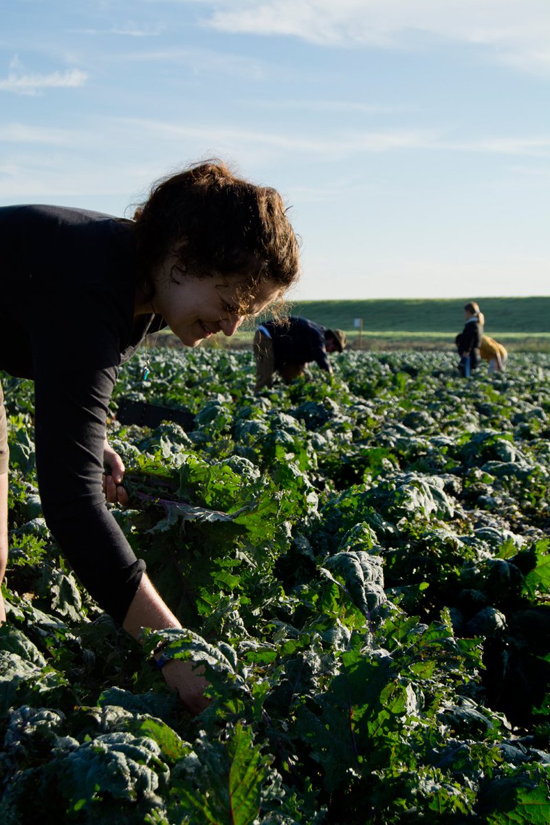PacCoastFarmers's tweet photo. Shout-out to @Edible_SV for sharing our piece on First Generation Farmers, for #DigitalDirt! Read here: https://t.co/xjtDc7zD6v #DirtFirst https://t.co/wKdevOA3qj