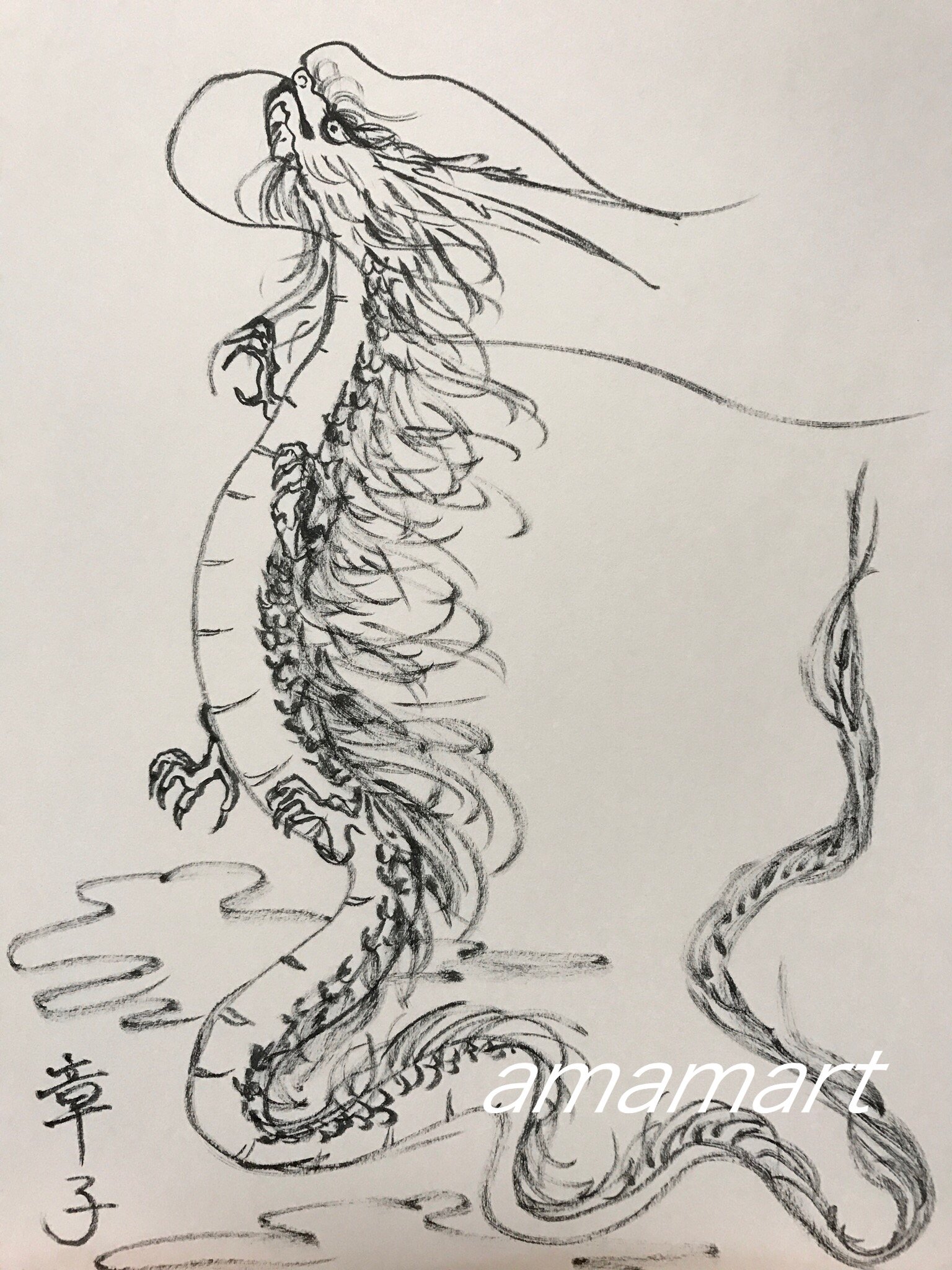 さらに値下げ 龍神画 手描きアート 龍の鱗 クリアランス Aeroportail Ca