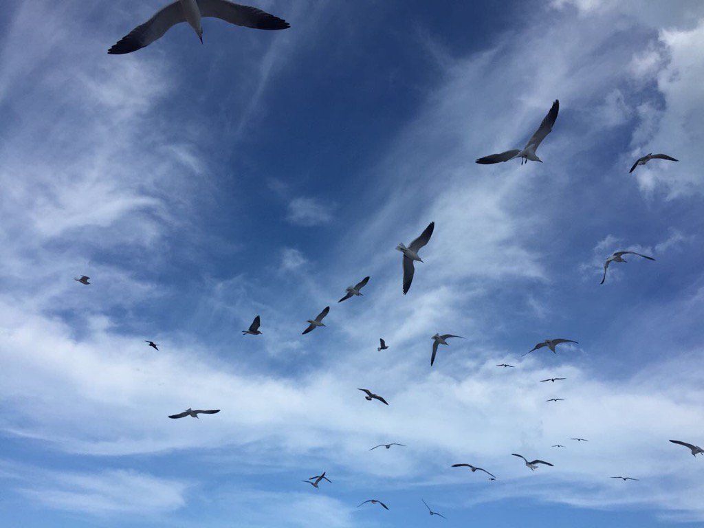 El cielo de Progreso Yucatán