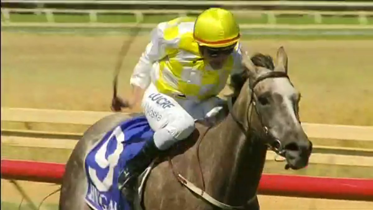 cspearce1's tweet photo. 3 winners @PinjarraPark for @benpearceracing great day out for the team. Congratulations to the owners. https://t.co/20aQ0YEZpM