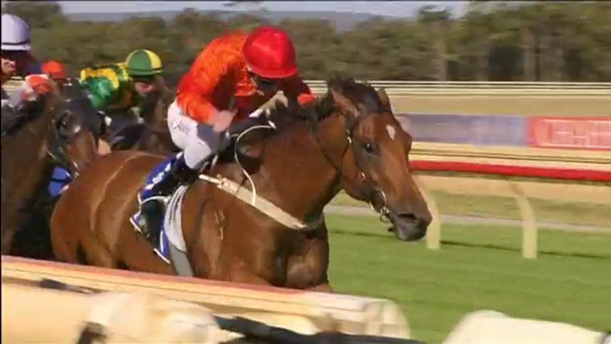 cspearce1's tweet photo. 3 winners @PinjarraPark for @benpearceracing great day out for the team. Congratulations to the owners. https://t.co/20aQ0YEZpM