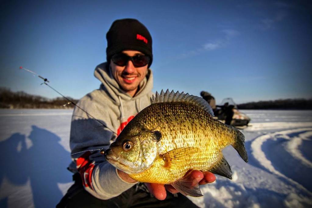 Nick Lindner tweet media