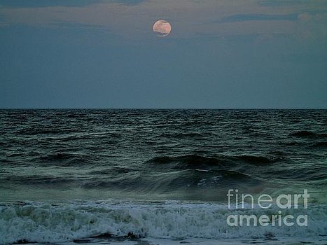 dhackett4150's tweet photo. #fullmoon #ameliaisland #night #sky #nightsky #ocean #waves #florida #dhackett #fineart https://t.co/GUrXucojoq https://t.co/Z9LxGklKcJ