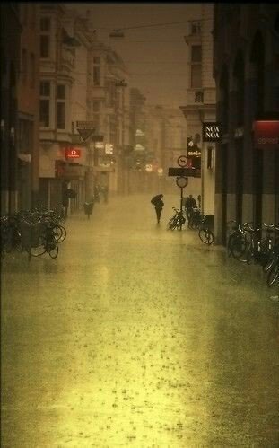 ahmednkhan's tweet photo. Im never alone 
Your thoughts 
Walk with me always 
@poemprose @suzannahbaron @cutepeacelover @notyet100 @HecatesLove13 @Love1Loving https://t.co/tMUd2YszfE