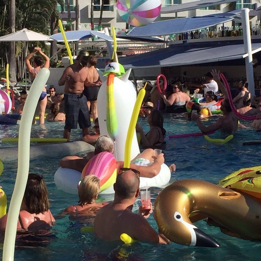 Can you spot the Gringo unicorn inception?