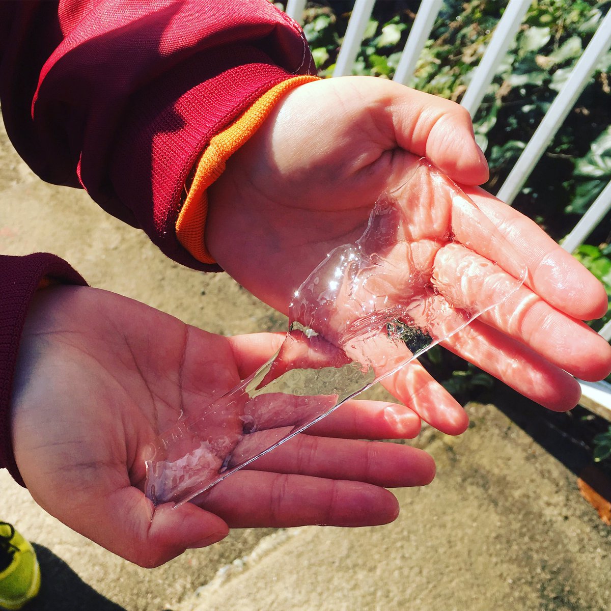 だざいふ遊園地 公式 Pa Twitter おはようございます だざいふ遊園地 今朝は氷がはっていました 寒い 今はおひさまの光でキラキラしてます だざいふ遊園地 太宰府遊園地 だざいふえん 太宰府園 遊園地 福岡の遊園地 福岡 太宰府 氷 だざいふ遊園地 公式 Pa Twitter おはようございます だざいふ遊園地 今朝は氷がはっていました 寒い 今はおひさまの光でキラキラしてます だざいふ遊園地 太宰府遊園地 だざいふえん 太宰府園 遊園地 福岡の遊園地 福岡 太宰府 氷
