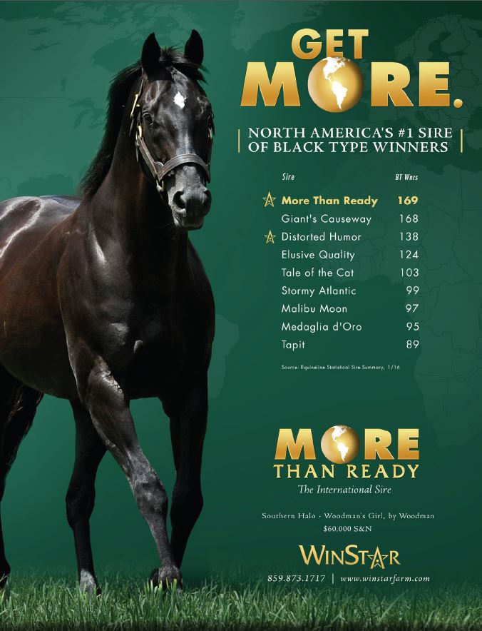 garykingTDN's tweet photo. The International Sire. More Than Ready at @WinStarFarm. #TDN https://t.co/7W4Tl0h04q