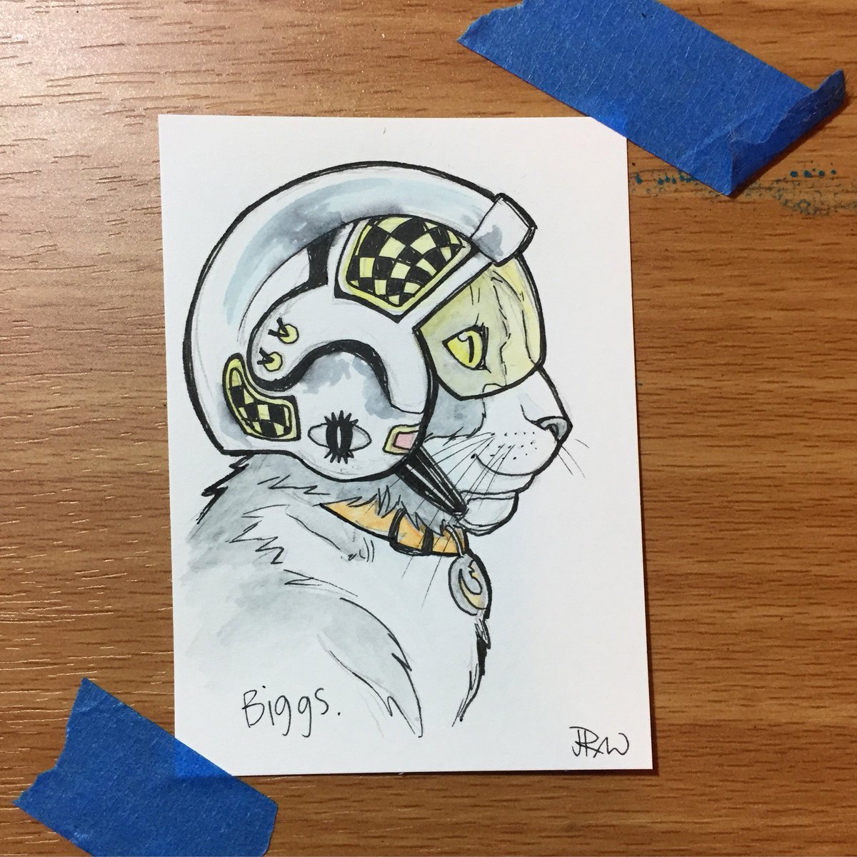 My cat’s name is Biggs Darklighter. I drew him.