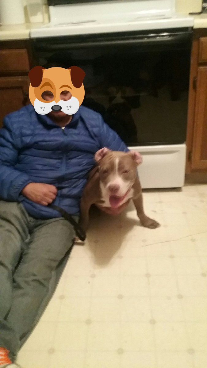 ternuraza's tweet photo. @eldiablosolo24 cosito bello 🐶 tengo un amiguito para el se llama Kilo 🐶🐶 https://t.co/J08sFTRpgQ