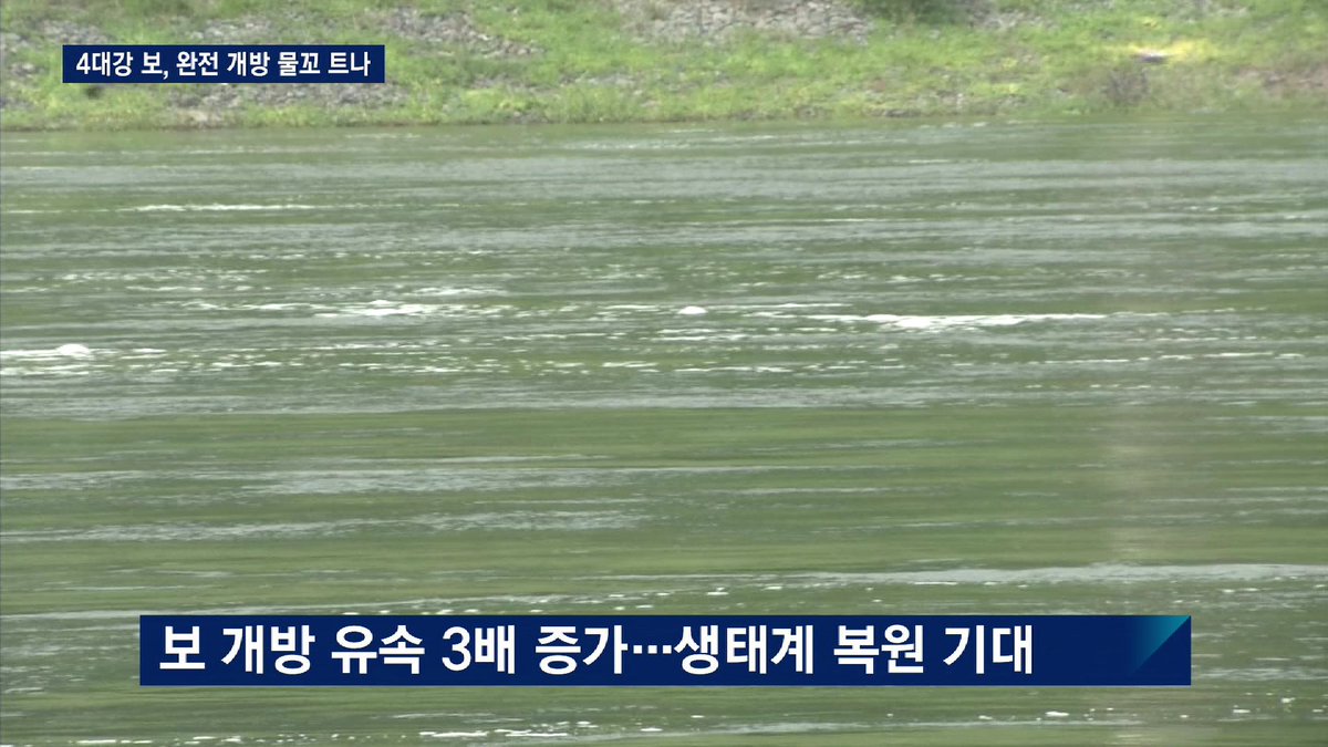 JTBC 뉴스 tweet media